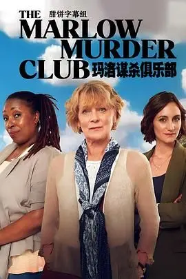 《玛洛谋杀俱乐部》：悬疑迭起，反转不断，一场关于爱与复仇的致命游戏！