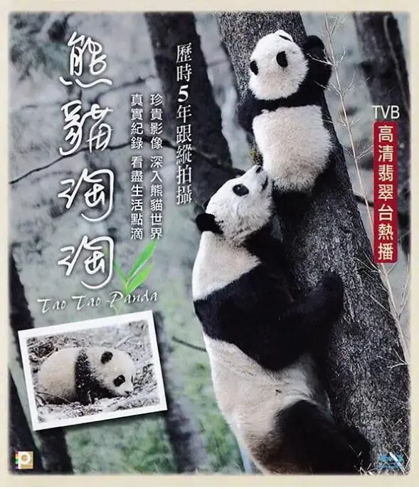 《熊猫淘淘》：萌力爆表！2025ELLE风尚大典，还有“欢迎回到三达里”的惊喜？